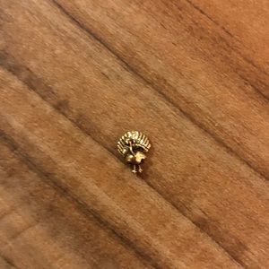 Origami Owl turkey charm